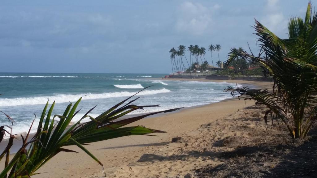 Pôrto das Galinhas Flat Muro Alto Beach Class Ecolife מראה חיצוני תמונה